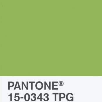 couleur de l'année 2017 Pantone Tollens Greenery conseils astuces déco